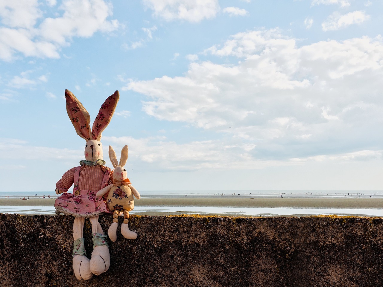 Stuffed rabbits on a wall near the beach