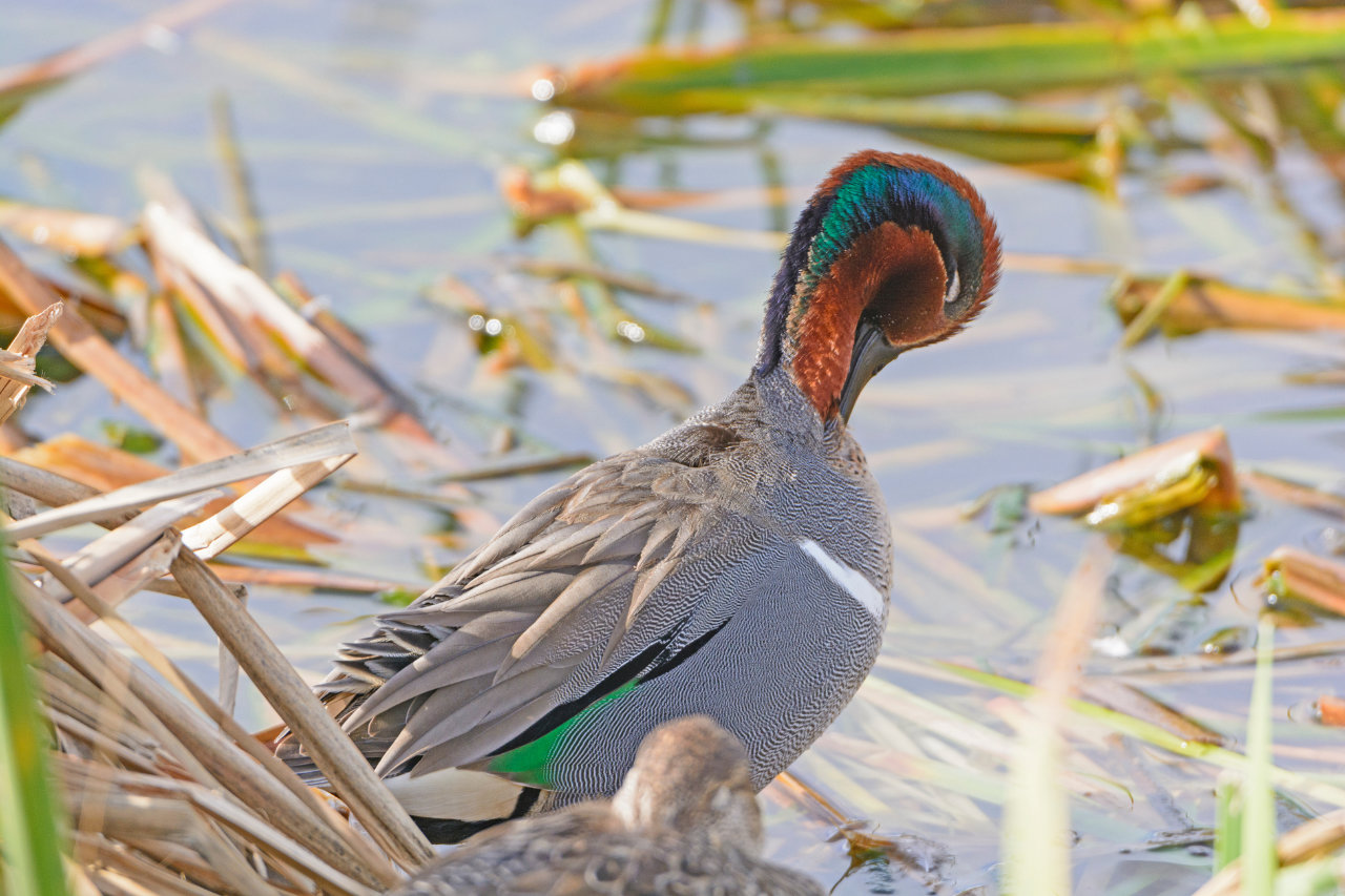 Explore the top attractions in Hatteras, NC
