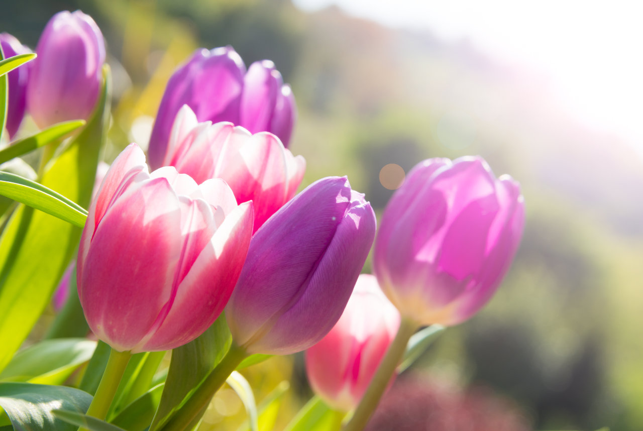 Book a Mother's Day Outer Banks getaway